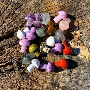 Lot of 20 Mushie Carvings Great for Wire Wrapping; various Crystal materials